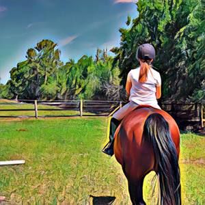 Meet your Posher, Arielle